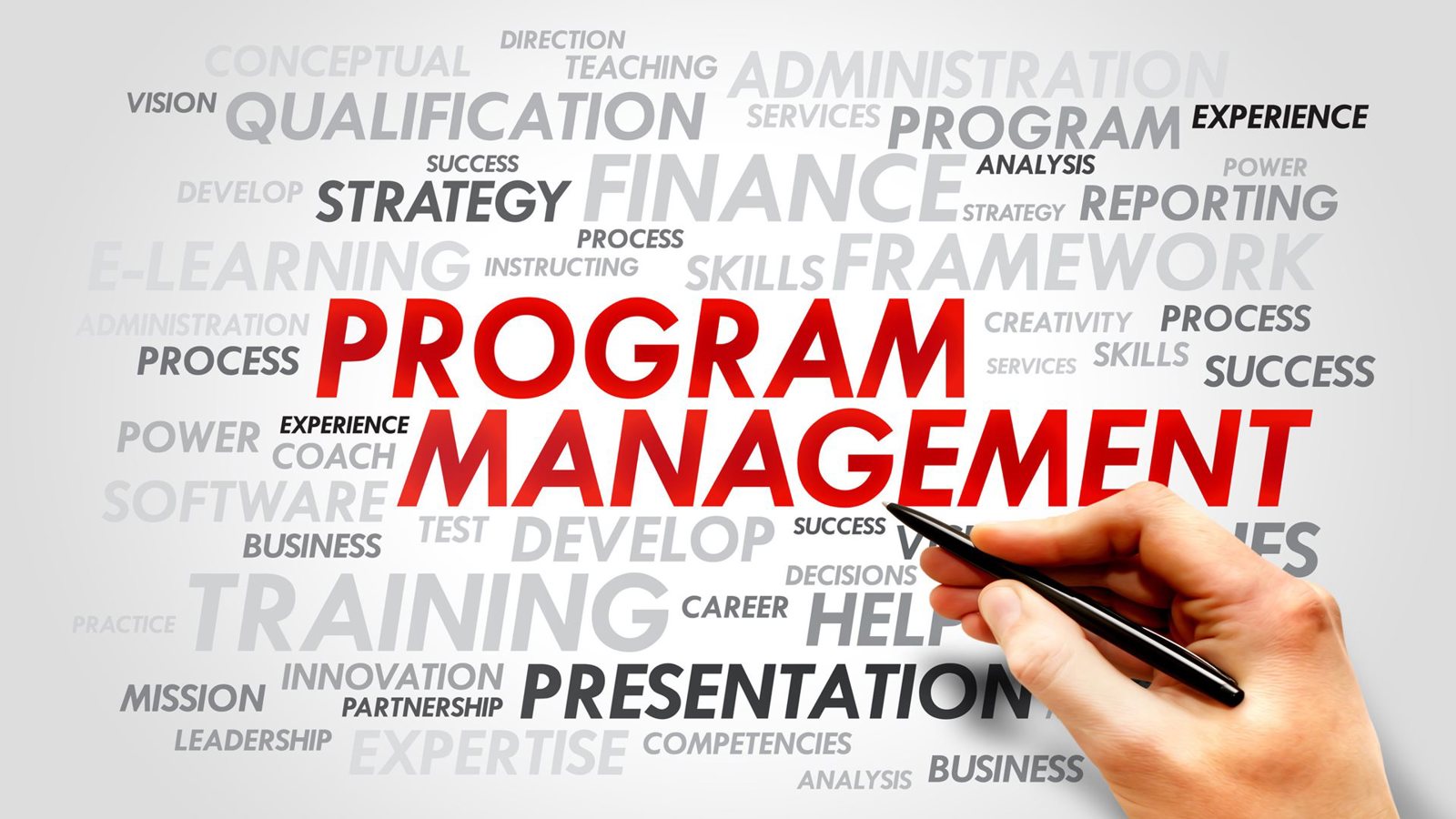 Program Management